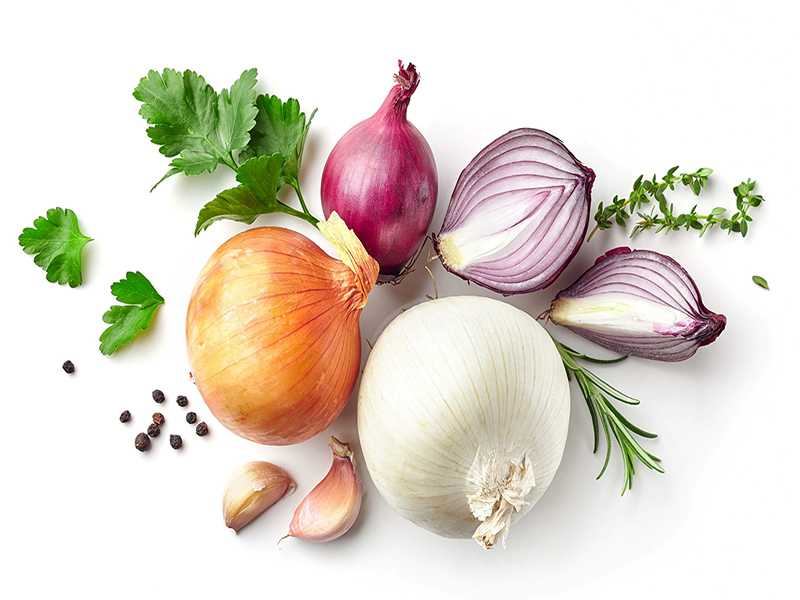 قیمت خرید پیاز سفید با فروش عمده