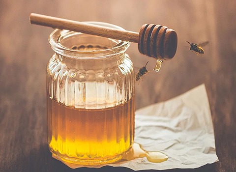 خرید و قیمت عسل کنار درجه یک + فروش عمده