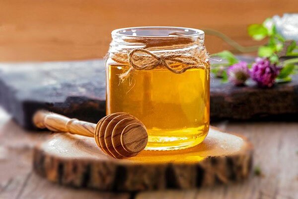 فروش عسل کوهی وحشی + قیمت خرید به صرفه