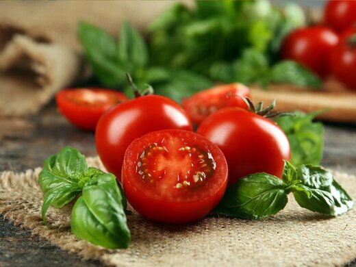 قیمت گوجه فرنگی قرمز + خرید باور نکردنی