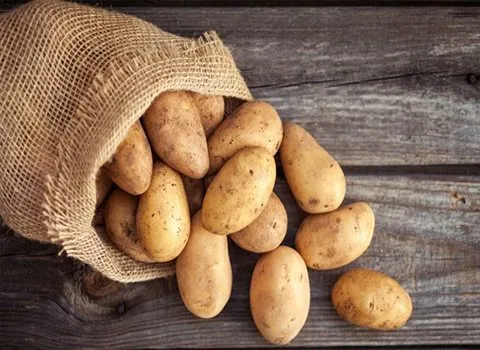قیمت خرید سیب زمینی پشندی مشهد + فروش ویژه