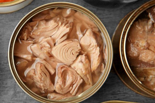 قیمت خرید تن ماهی جدید + فروش ویژه