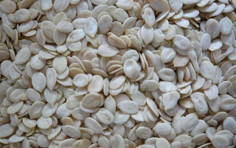 خرید تخمه ژاپنی سفید + قیمت فروش استثنایی