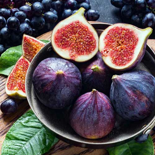 خرید و قیمت انجیر سیاه لرستان + فروش عمده