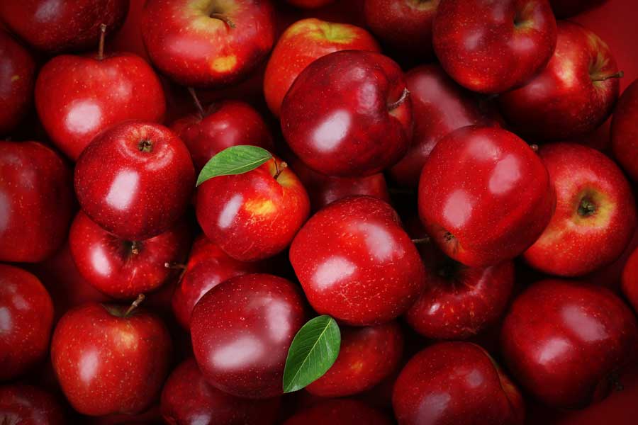 قیمت خرید سیب قرمز ارومیه + فروش ویژه