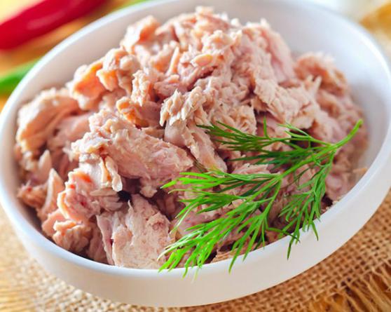 قیمت خرید کنسرو تن ماهی شیلتون + فروش ویژه