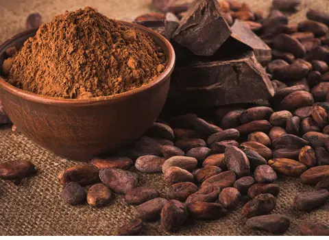 قیمت خرید قهوه هسته خرما + فروش عمده