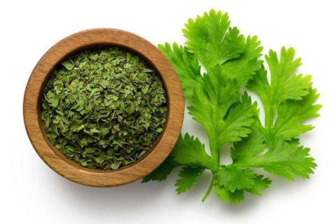 فروش سبزی گشنیز خشک + قیمت خرید به صرفه