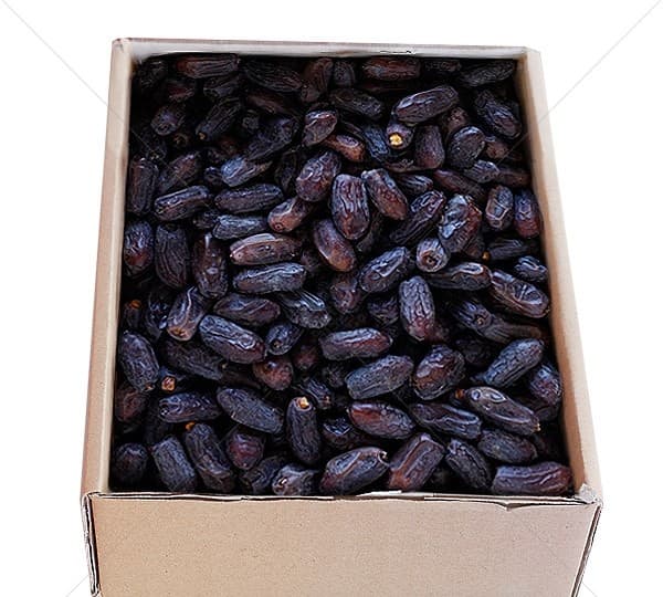 خرید و قیمت خرما ربی بلوچستان و فروش عمده