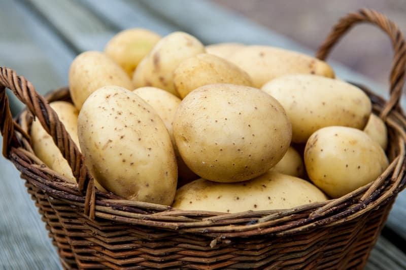 فروش سیب زمینی صادراتی اردبیل + قیمت خرید به صرفه