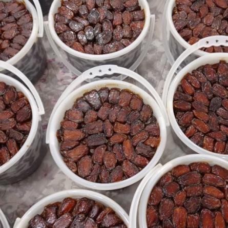 خرید و قیمت خرما کبکاب سطلی + فروش عمده