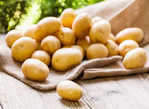 قیمت سیب زمینی زرد اردبیل + خرید باور نکردنی