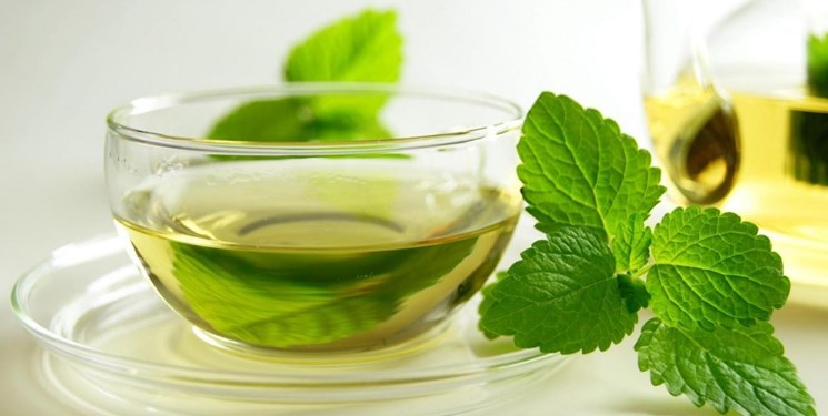 خرید عرق نعنا گیاهی + قیمت فروش استثنایی