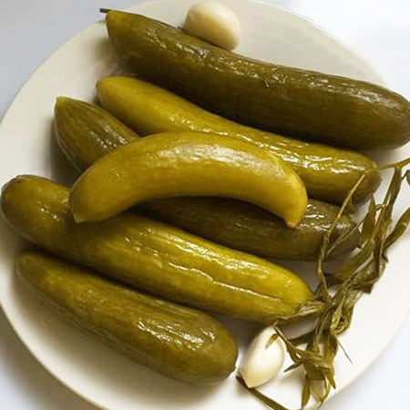 قیمت خرید خیارشور سطلی کرج با فروش عمده