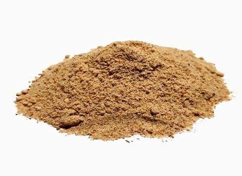 قیمت خرید پودر سنجد تازه صادراتی عمده به صرفه و ارزان