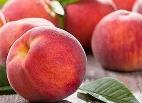 خرید و قیمت هلو زعفرانی هسته جدا + فروش صادراتی