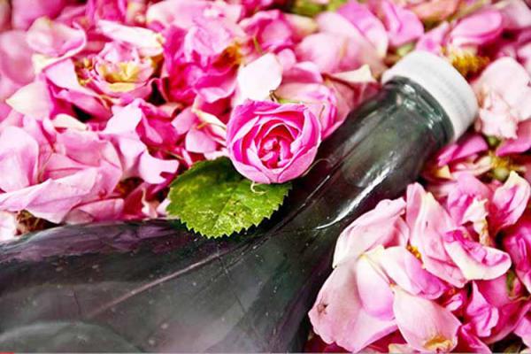 قیمت خرید گلاب سه آتیشه با فروش عمده