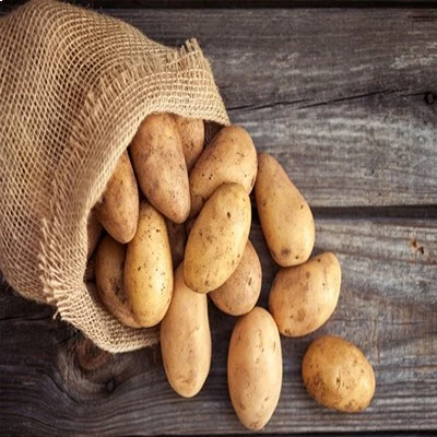 قیمت خرید سیب زمینی پوست قهوه ای با فروش عمده
