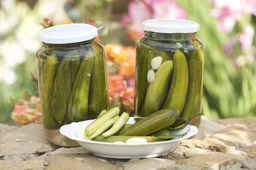 خرید و قیمت خیارشور نمکی خانگی + فروش صادراتی