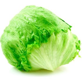 خرید و فروش کاهو آیسبرگ گرگان با شرایط فوق العاده