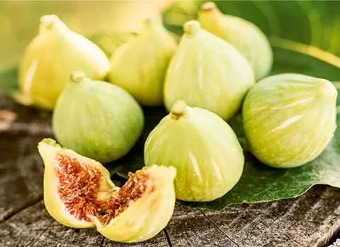 قیمت خرید انجیر زرد ترکیه عمده به صرفه و ارزان