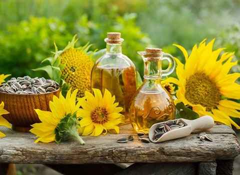 فروش روغن آفتابگردان طبیعی + قیمت خرید به صرفه