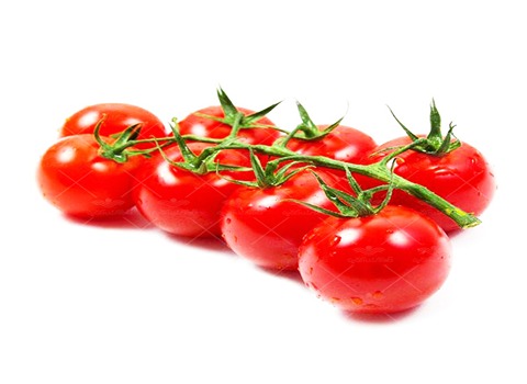 خرید و قیمت گوجه فرنگی گیلاسی + فروش صادراتی