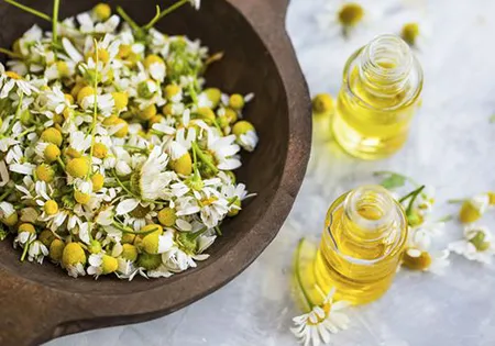 قیمت بابونه گیاهی دارویی با کیفیت ارزان + خرید عمده