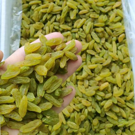 خرید و قیمت کشمش برگ سبز + فروش صادراتی