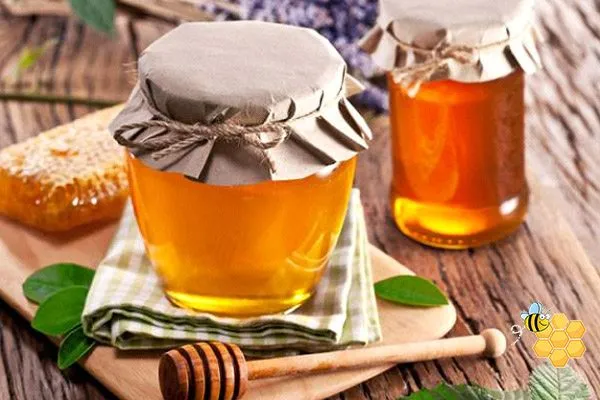 فروش عسل شیشه ای گون آویشن + قیمت خرید به صرفه