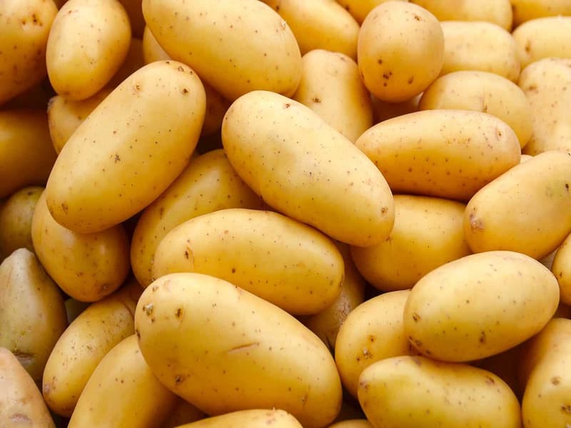 خرید و قیمت سیب زمینی مشهد + فروش صادراتی