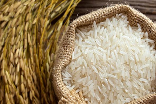 قیمت برنج طارم شیراز + خرید باور نکردنی