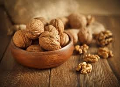 قیمت خرید گردو خشک تویسرکان + فروش ویژه