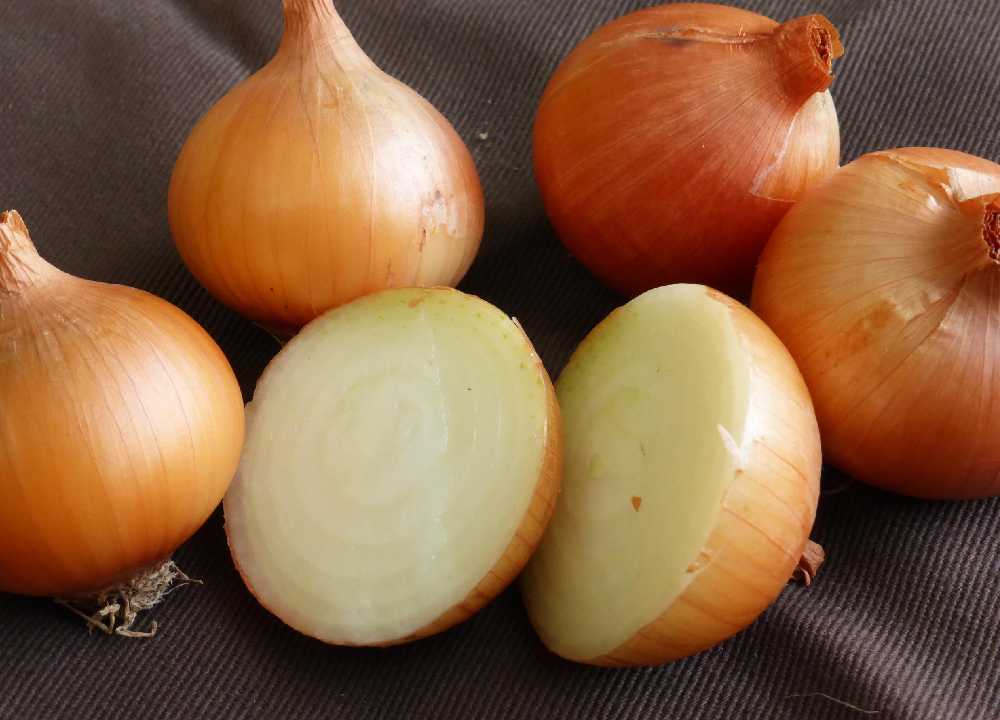 خرید و قیمت پیاز پوست زرد + فروش صادراتی