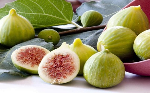 خرید و قیمت انجیر سفید عسلی + فروش عمده