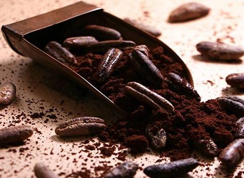 قیمت خرید قهوه هسته خرما طعم دار + فروش ویژه
