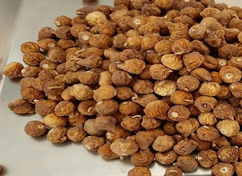 قیمت خرید انجیر خشک فله با فروش عمده
