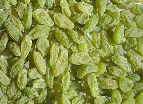 خرید و قیمت کشمش پلویی آفتابی + فروش صادراتی
