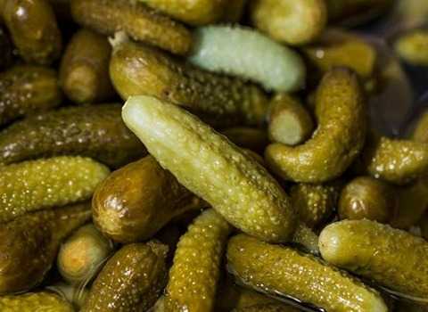 قیمت خرید خيارشور خاردار + فروش ویژه