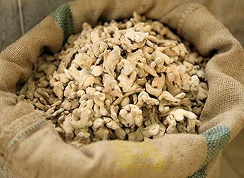 فروش زنجبیل خشک شده + قیمت خرید به صرفه