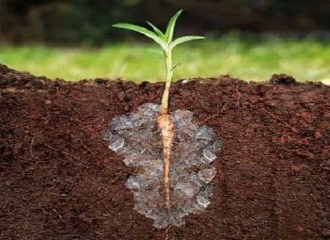 خرید و قیمت هیدروژل در کشاورزی + فروش عمده