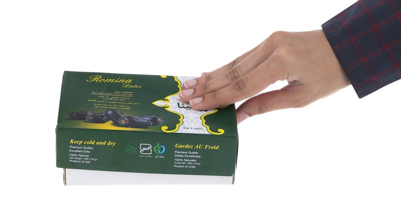 قیمت خرید خرما ساغر 500 گرم + فروش ویژه