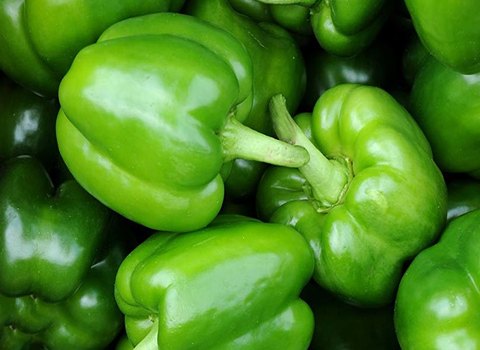 قیمت فلفل سبز دلمه ای + خرید باور نکردنی