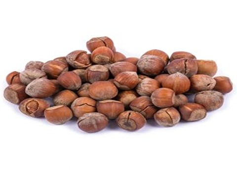 خرید و قیمت فندق تازه با پوست + فروش صادراتی