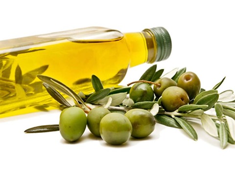 فروش روغن زیتون بودار + قیمت خرید به صرفه