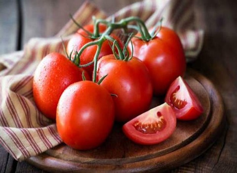 خرید و قیمت گوجه یزد + فروش عمده