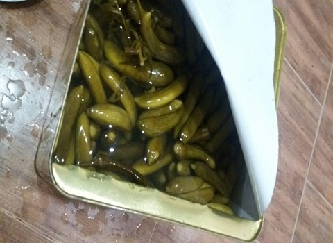 خرید و قیمت خیارشور حلب شیراز + فروش عمده