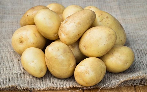 خرید سیب زمینی آگریا شیراز + قیمت فروش استثنایی