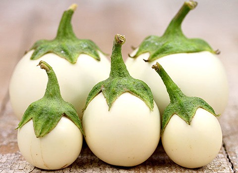 خرید و قیمت بادمجان سفید دلمه ای + فروش عمده