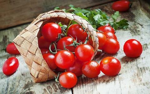 قیمت خرید گوجه فرنگی ریز آلبالویی + فروش ویژه